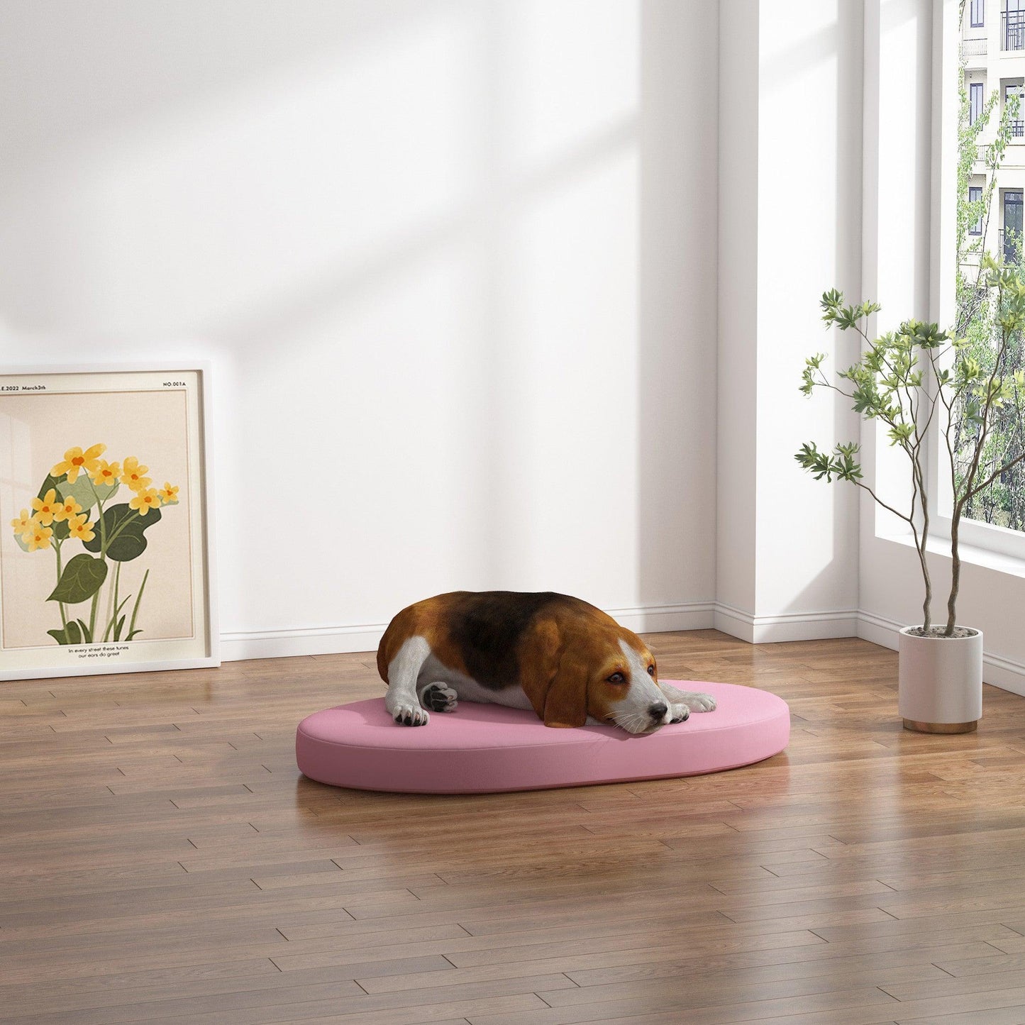 Camas para perros ovaladas y redondas a medida