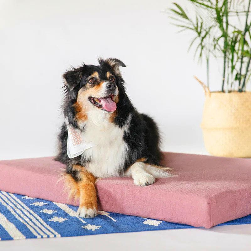 Cama para perro