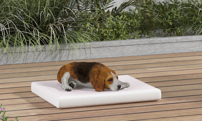 Exterior cama para perro a medida