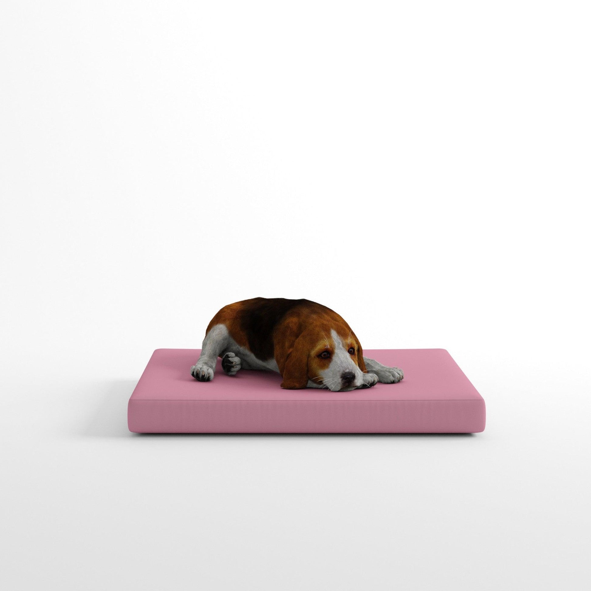 Cojín para perro de exterior
