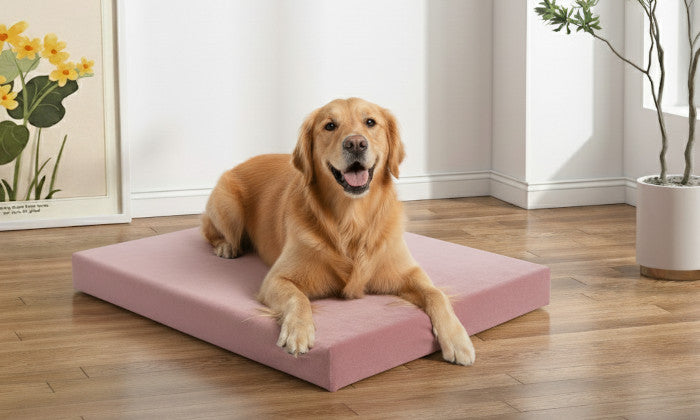 Indoor Hundebett nach Maß