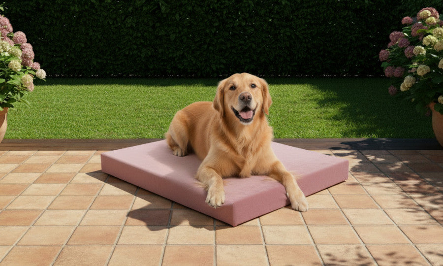 Outdoor Hundebett nach Maß