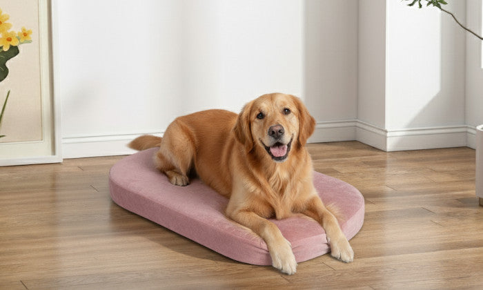 Ovale und runde Hundebetten - Indoor