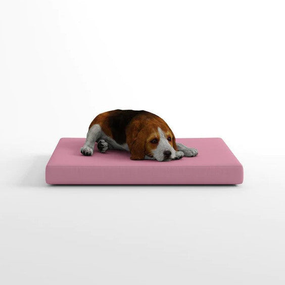 Cama para perro a medida