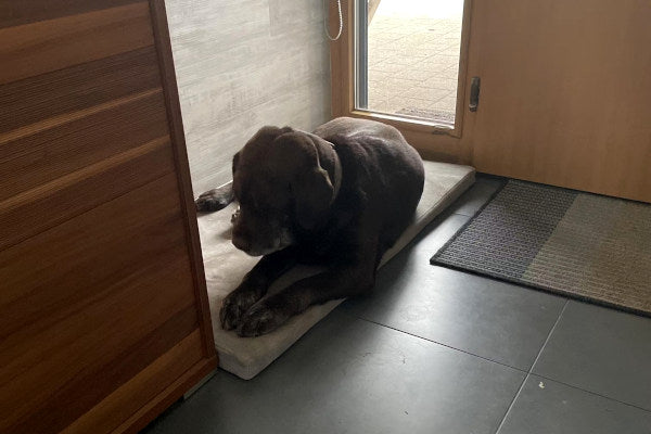 Colchoneta para perro a medida