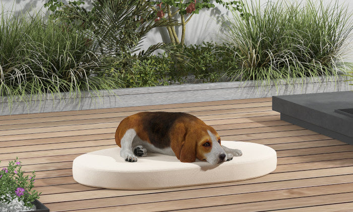 Ovales y redondas camas para perros - Exterior