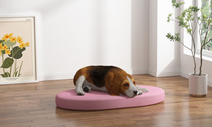 Camas para perros ovaladas y redondas - Interior